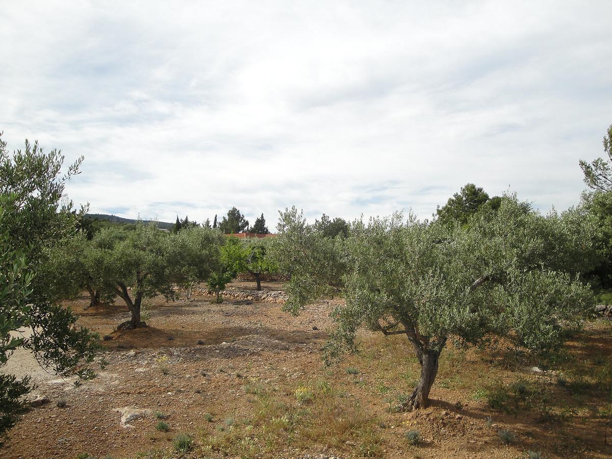 Holiday Home El Rinconcito By Interhome L'Ampolla Bagian luar foto